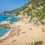 Apartment 6 People Seeviews Lloret De Mar